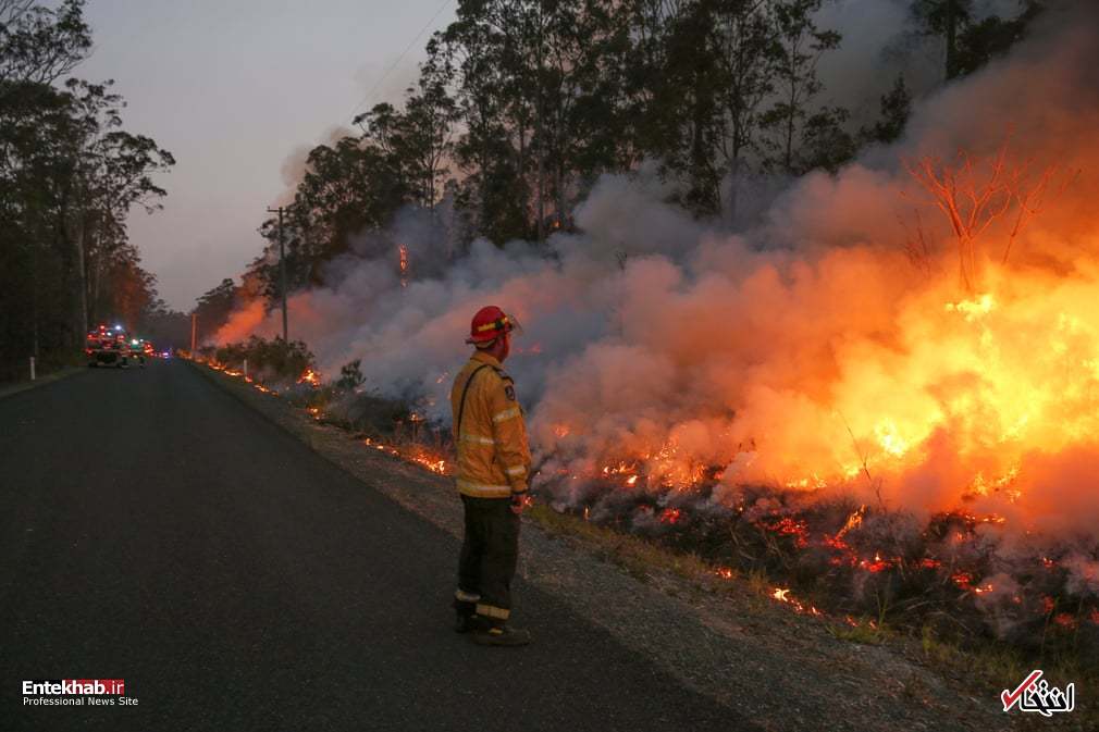 تصاویر : دیدنی‌های امروز یکشنبه ۶ آبان‌ماه