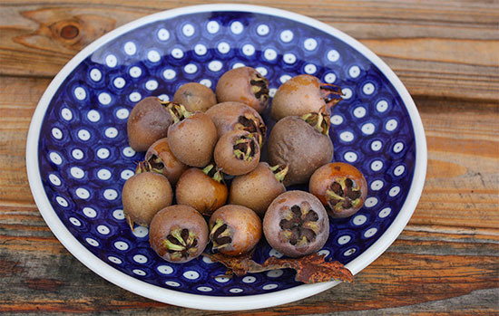 تاریخچه و آداب و رسوم شب یلدا در ایران و جهان