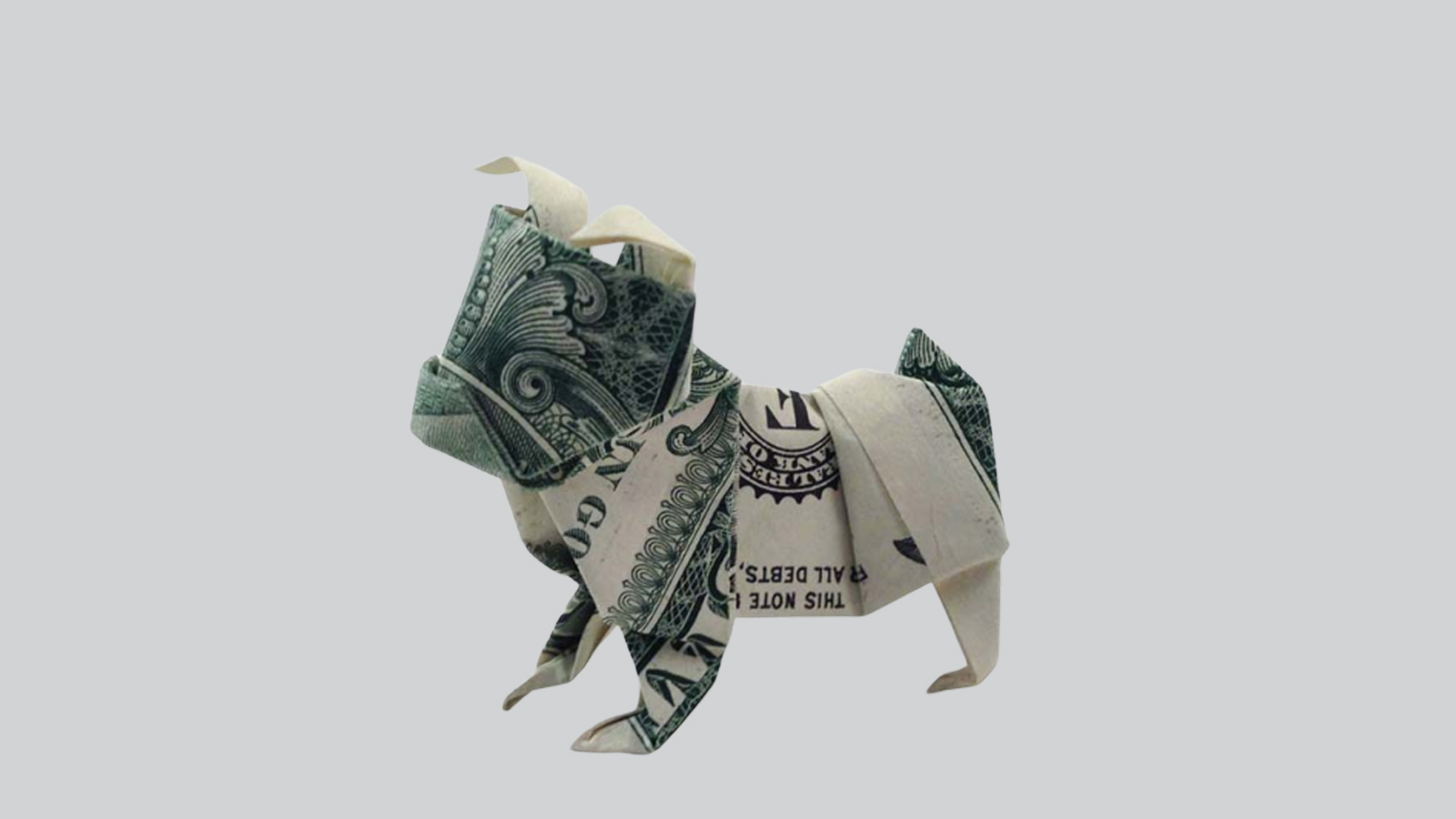 بازار حیوانات خانگی در ایران؛ از هاسکی ۲میلیونی تا مار ۵۰میلیون تومانی