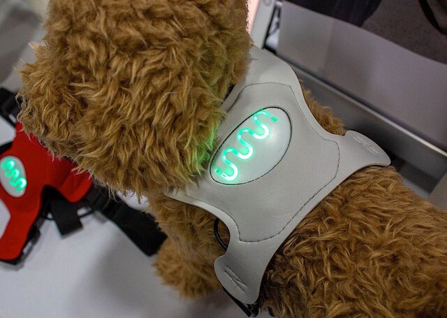 تشخیص احساس سگ‌ها با یک فناوری پوشیدنی