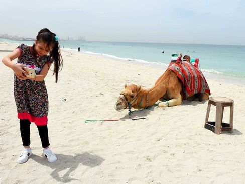 سلفی با شتر در ساحل 