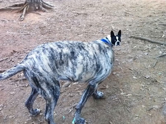 تصاویری که در بهترین زمان ممکن ثبت شده اند!