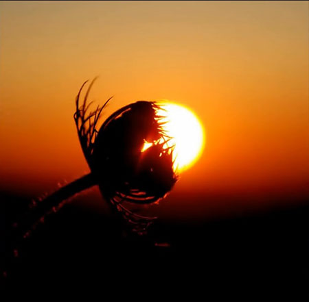 تصاویری که در بهترین زمان ممکن ثبت شده اند!