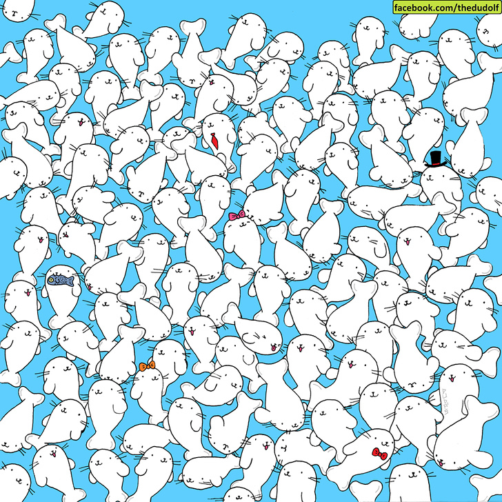 چند معمای تصویری که تیزبین‌ترین چشم‌ها هم قادر به حلشان نیست