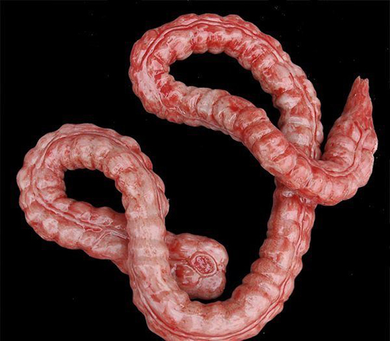 دانستنی‌های جالب و ترسناک درباره مرگ!