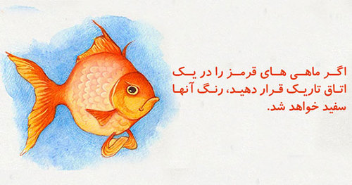 20 دانستنی خنده دار که واقعا حقیقت دارند