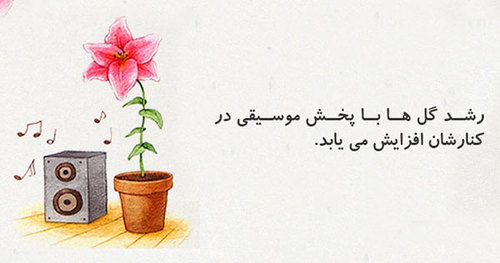 20 دانستنی خنده دار که واقعا حقیقت دارند