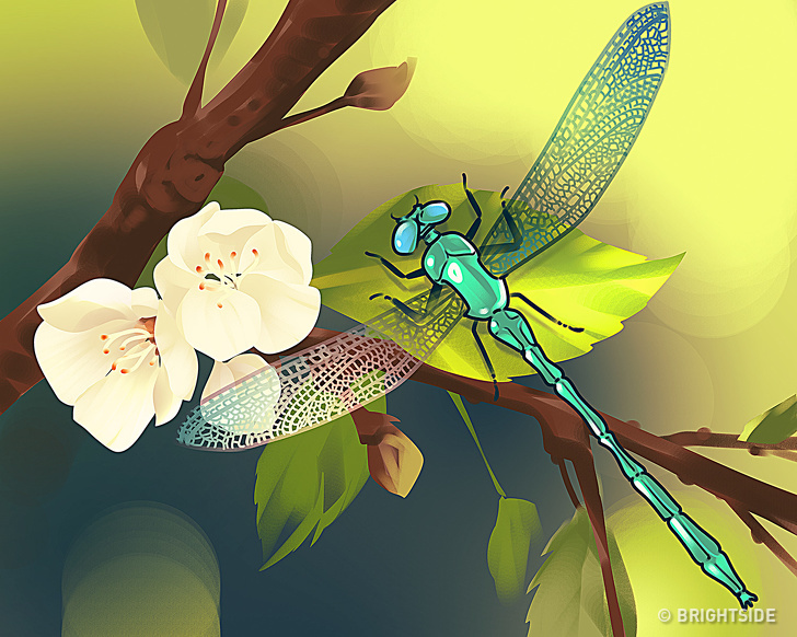 تست دقت و توجه: آیا می‌توانید در کمتر از یک دقیقه اشتباه این تصاویر را پیدا کنید؟