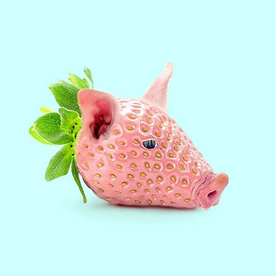 اگر حیوانات از میوه تشکیل می‌شدند!