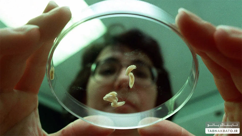 عجیب‌ترین روش‌های درمانی در جهان