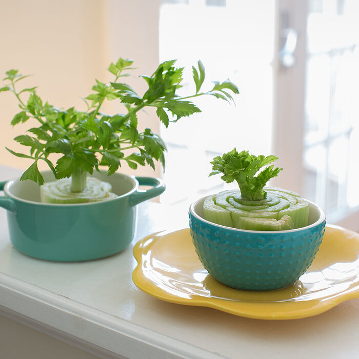 پنج روش آسان برای کاهش ضایعات در آشپزخانه