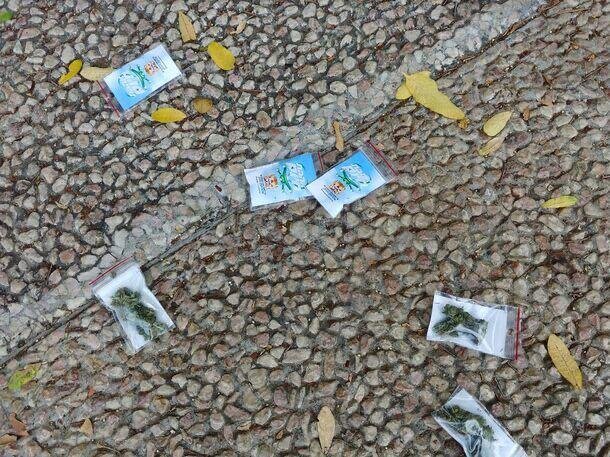 از آسمان تل آویو ماریجوانا بارید/عکس