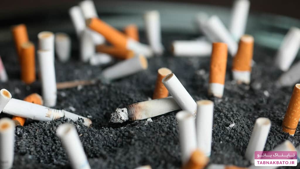 جنجالی‌ترین روش‌های اعتراض در جهان