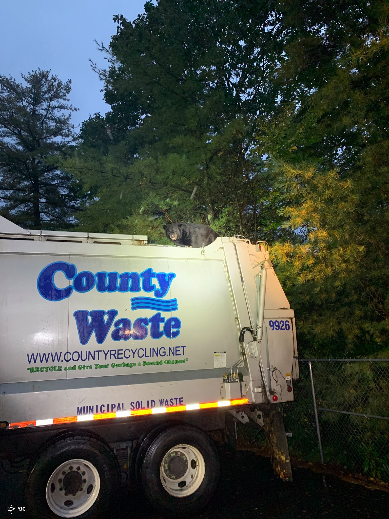 کامیون سواری خرس سیاه تا ایستگاه پلیس!