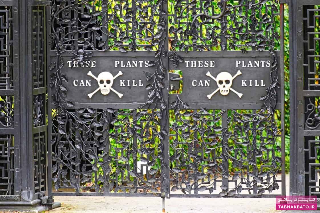 خطرناک‌ترین باغ گیاهان جهان با چندین کشته در یکسال