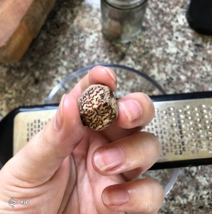 ۱۰ غذای سالمی که می‌تواند برای بدن شما سمی باشد