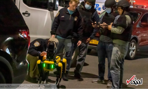 سگ رباتیک سگ رباتیک