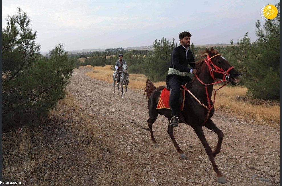دختران سوارکار در جشنواره کردستان عراق/ عکس