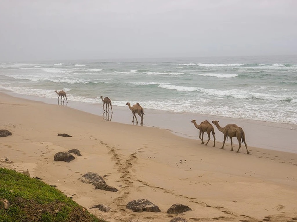 تصاویری که ثابت می‌کند عمان با زیبایی‌های طبیعی احاطه شده