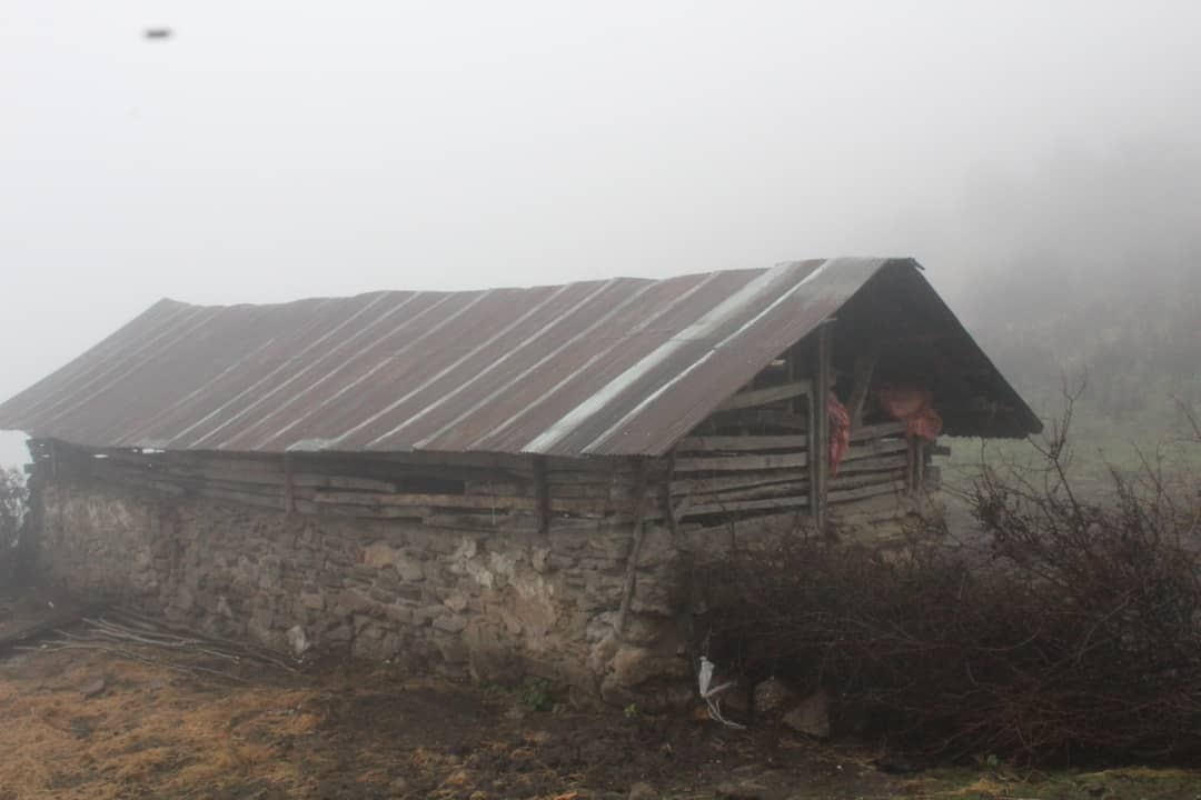 تور پهن کرونا برای قاچاق مسافران/ اجرای تور‌های گردشگری به قیمت فوت بیش از ۴۰۰ نفر