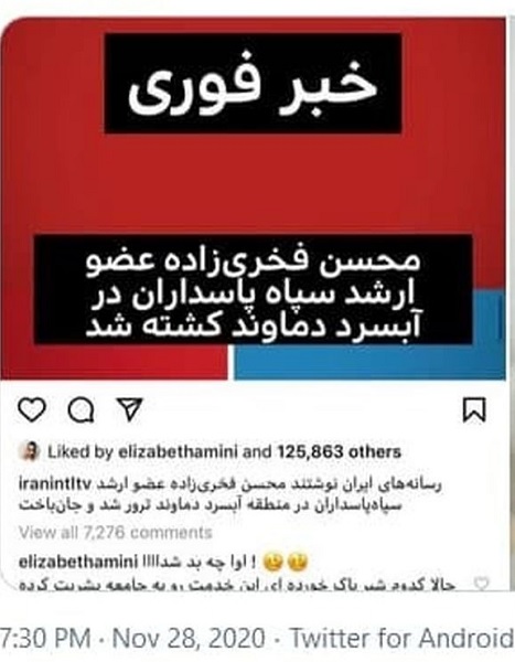 الیزابت امینی