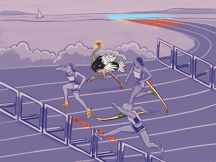 معما/ اشتباهات تصاویر را پیدا کنید