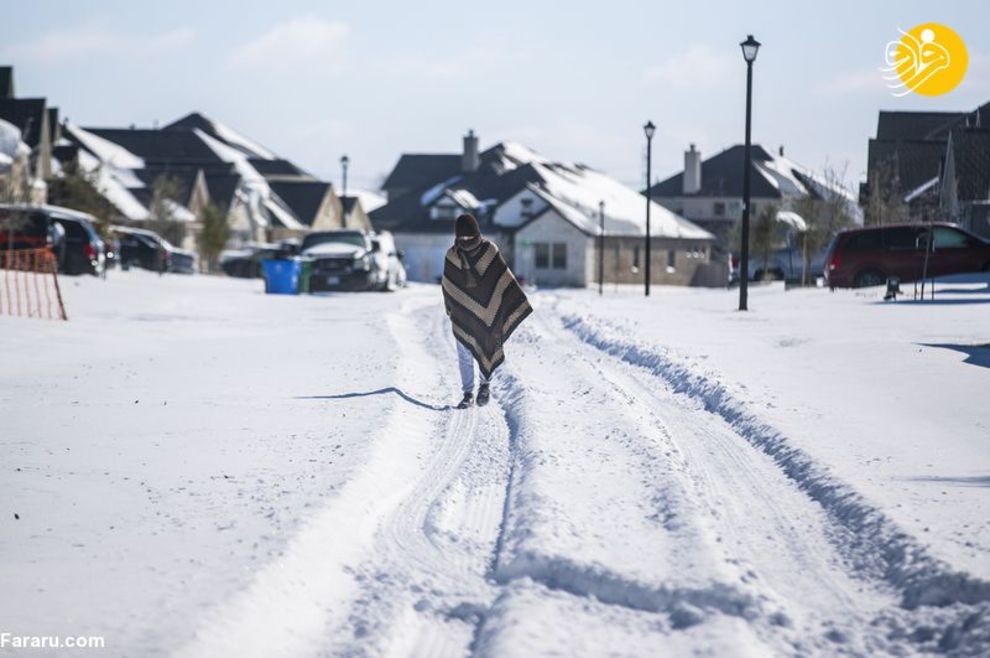 تگزاس یخ زد!/ تصاویر