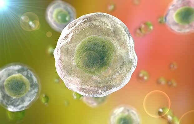 ارتش آمریکا به دنبال بهبود جراحات سربازان ۵ برابر سریع‌تر از حالت معمول