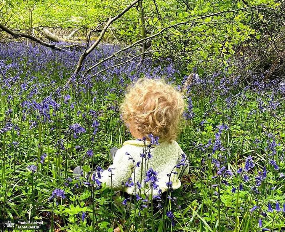 43605995-9632763-image-m-101_1622322449711