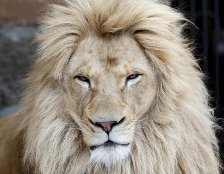 آشنایی با موجودات عجیب واقعی،شناخت موجودات عجیب شناسایی موجودات عجیب,تصاویر موجودات عجیب