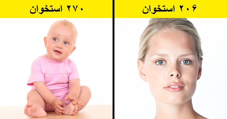 ۱۷ حقیقت علمی عجیب و جالب که احتمالا چیزی از آن ها نمی دانید