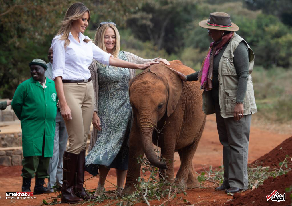 تصاویر : دیدنی‌های امروز یکشنبه ۱۵ مهرماه