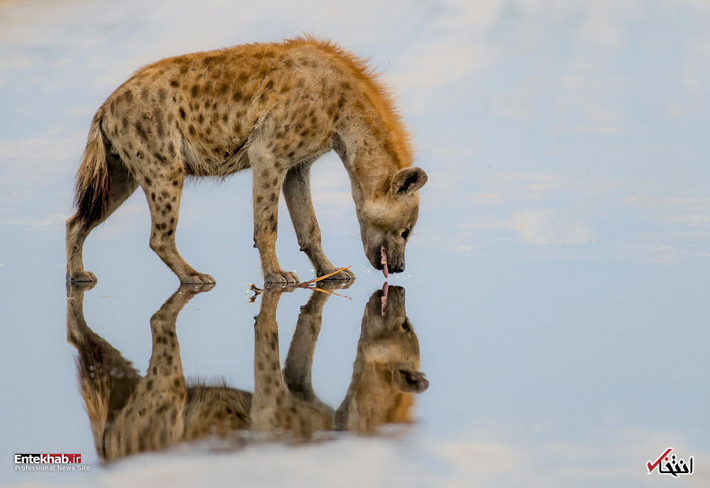 تصاویر : دیدنی‌های امروز یکشنبه ۱۵ مهرماه